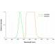 Microscop Fluorescenta VERDE-GALBUIE SI ROSIE cu iluminare 520 nm si filtru 570 nm si 650nm- AM4517MT-YFGW